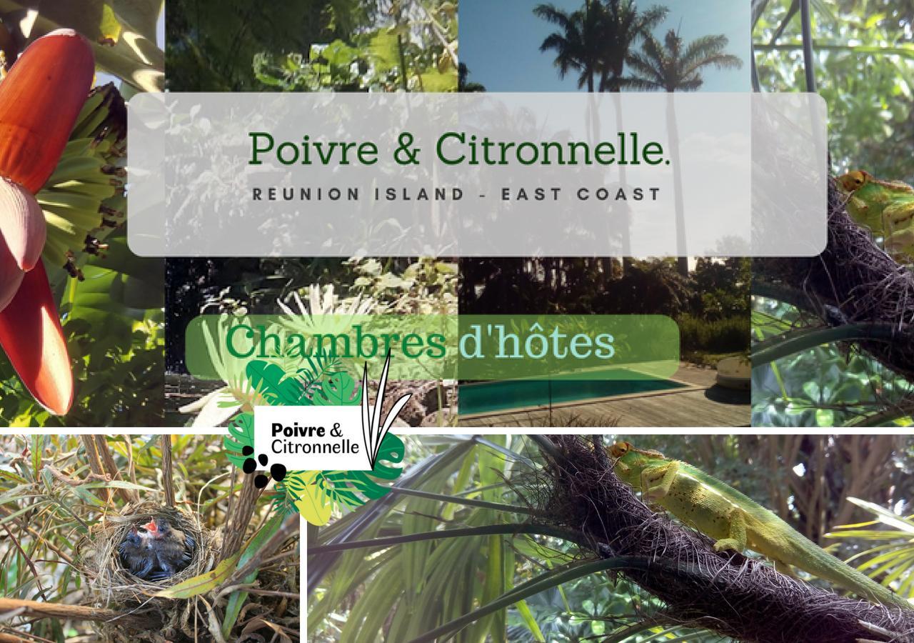 Poivre Et Citronnelle Bed and Breakfast Saint-André Exteriör bild